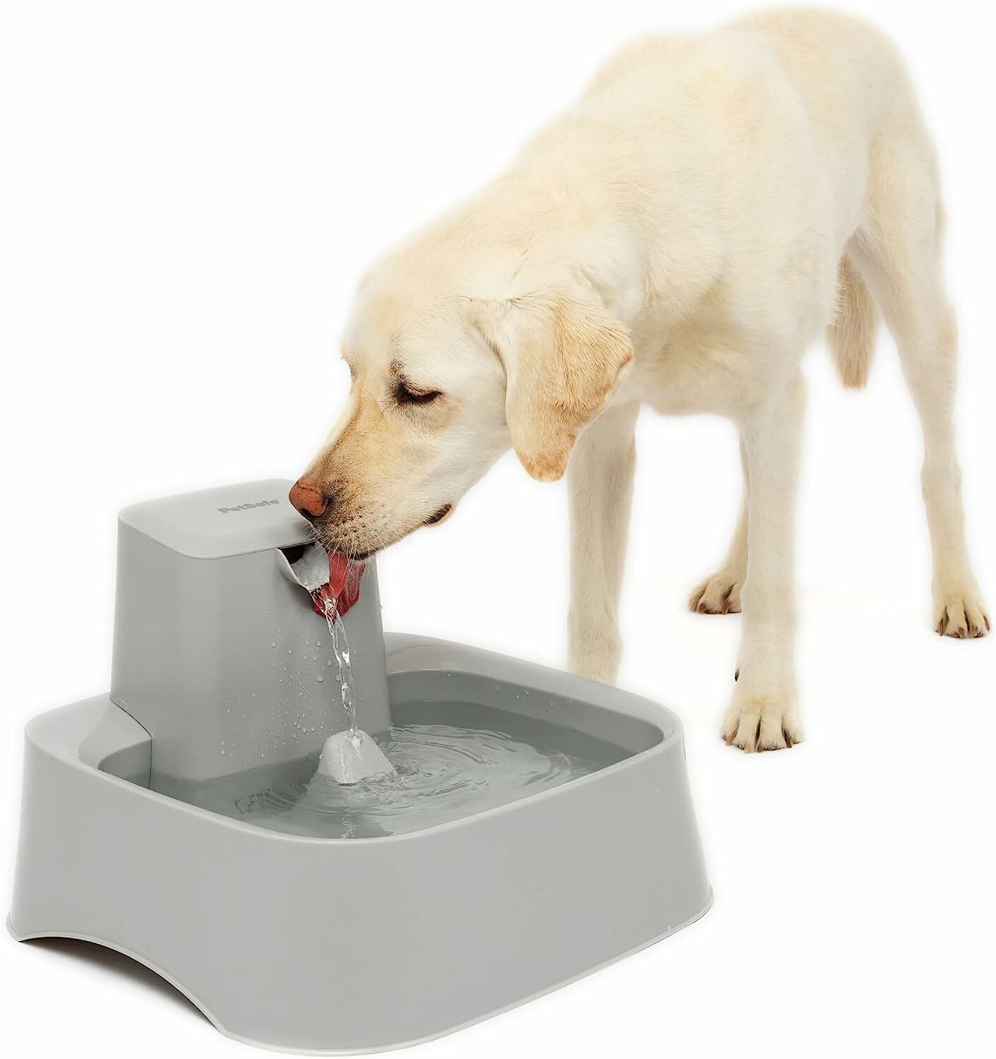 Dog Fountains